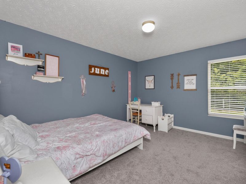10782 Parker Drive, Independence, KY 41051 Photo 23
