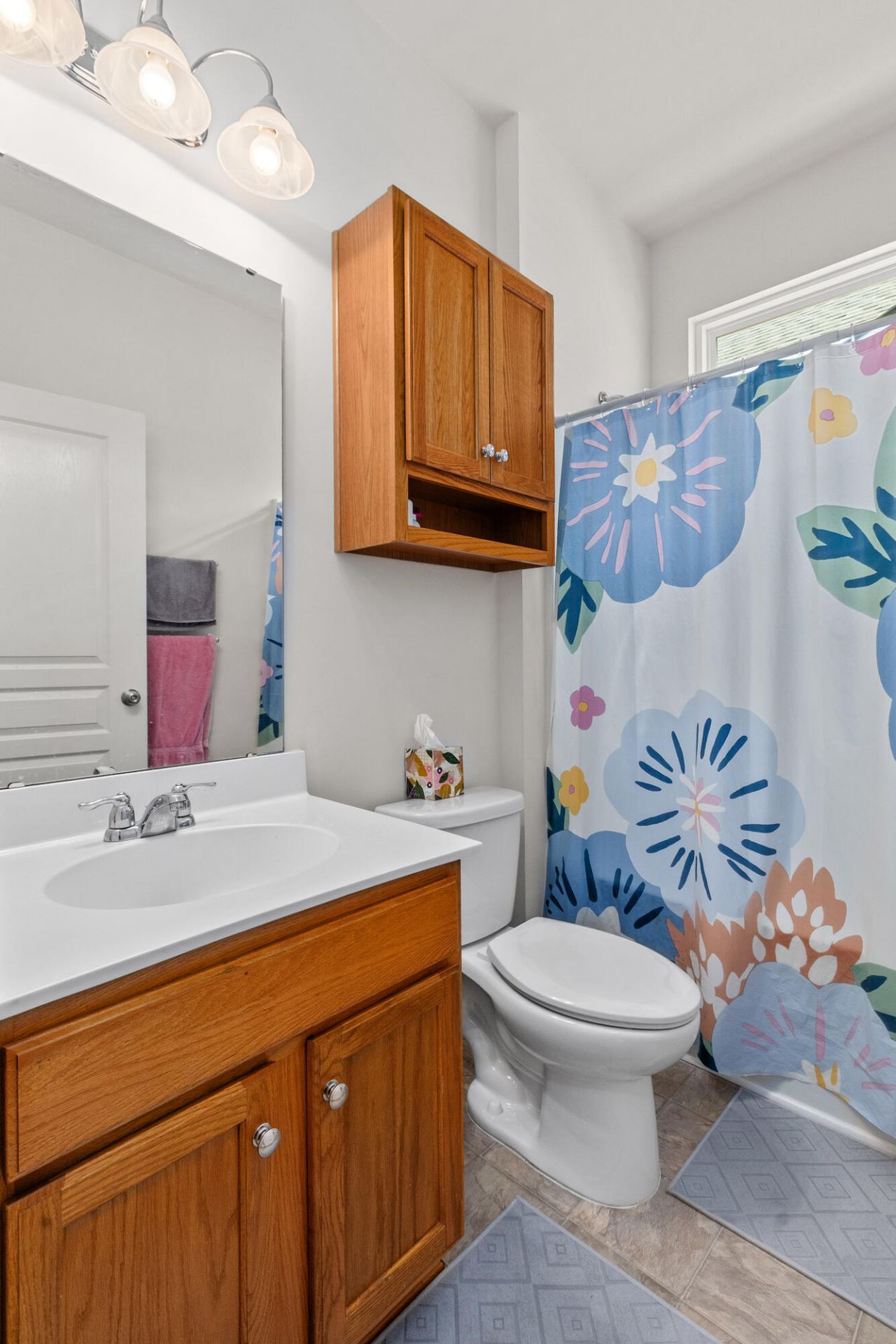 223 Waterfront Park Drive Photo 36