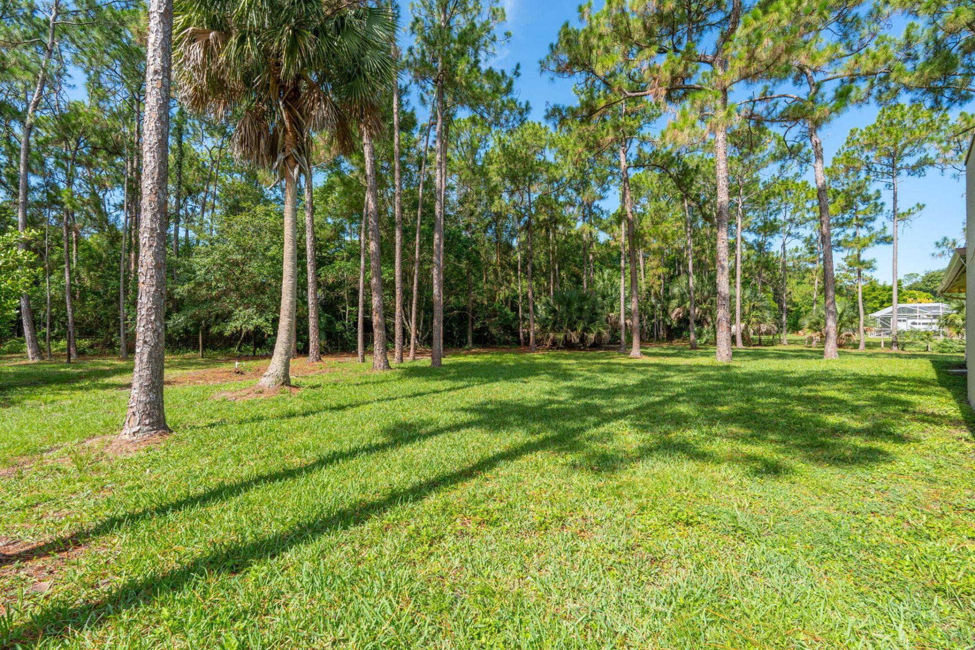 16628 Valencia Boulevard, The Acreage, FL 33470 Photo