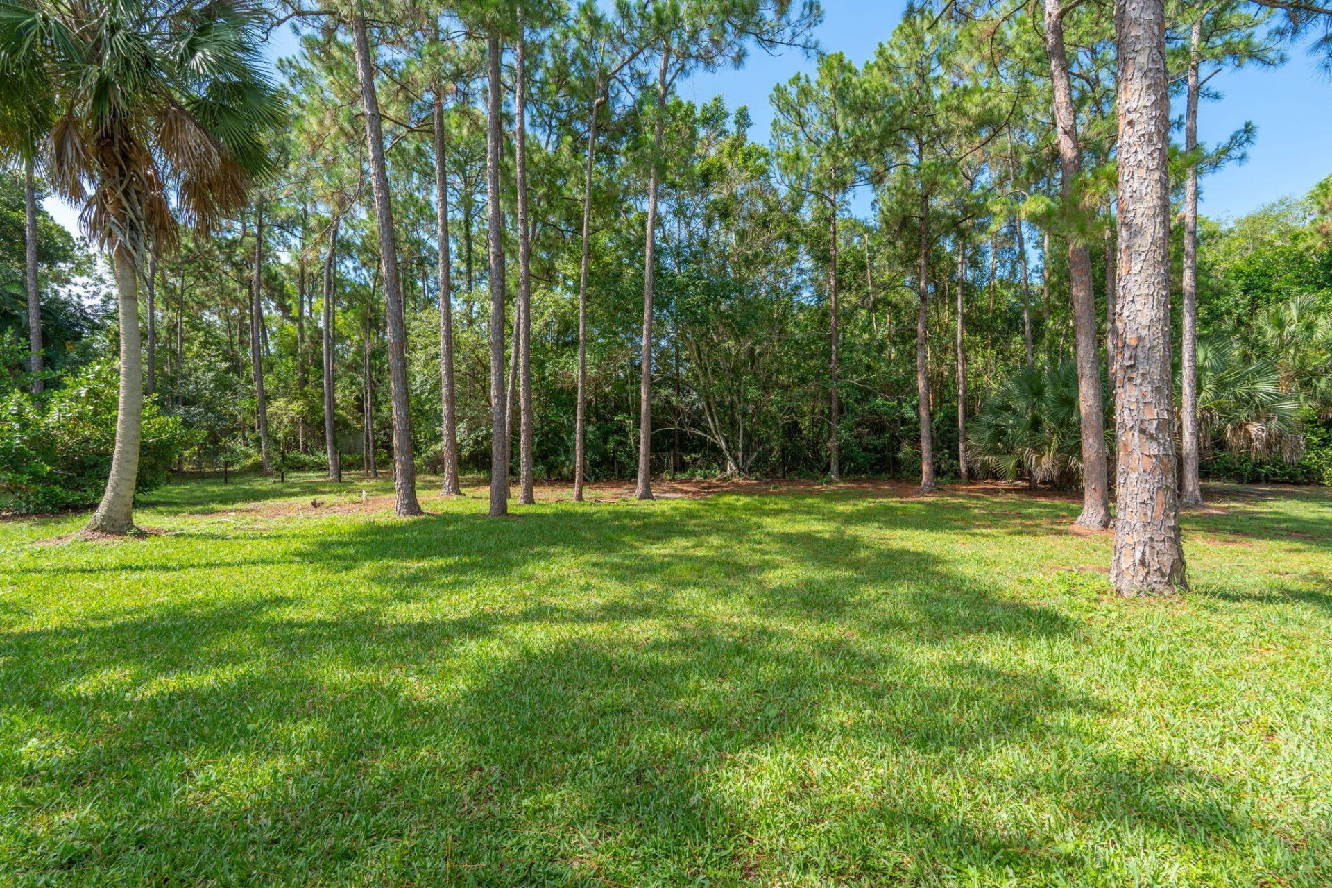 16628 Valencia Boulevard, The Acreage, FL 33470 Photo