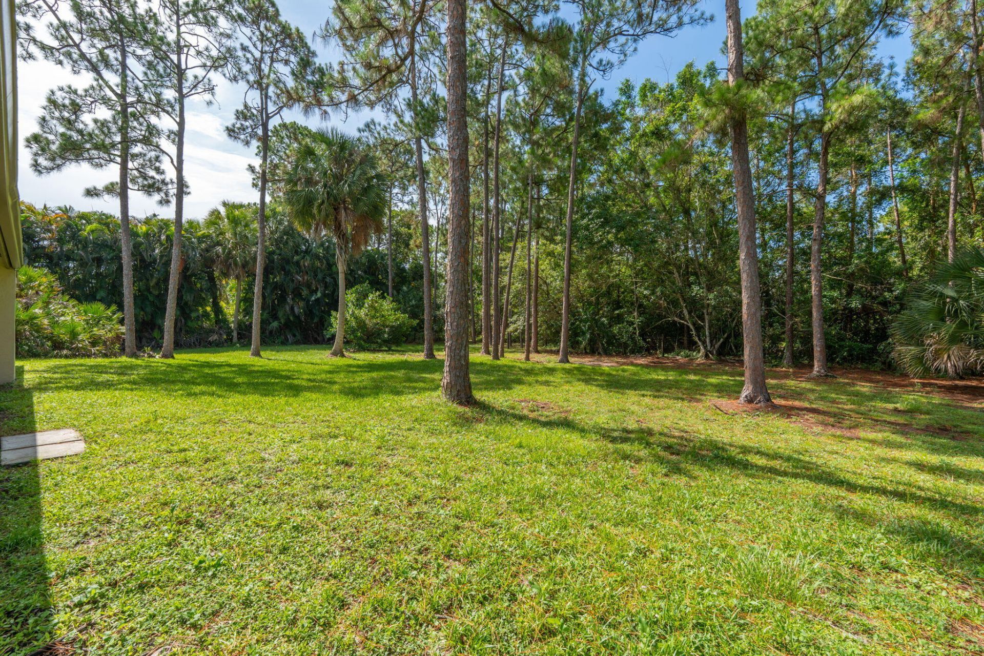 16628 Valencia Boulevard, The Acreage, FL 33470 Photo