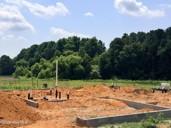 185 Bibey Road, Unit Lot 3, Carthage, NC 28327