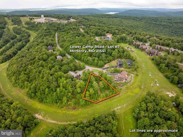 Lot 87 LOWER CAMP ROAD, MC HENRY, MD 21541