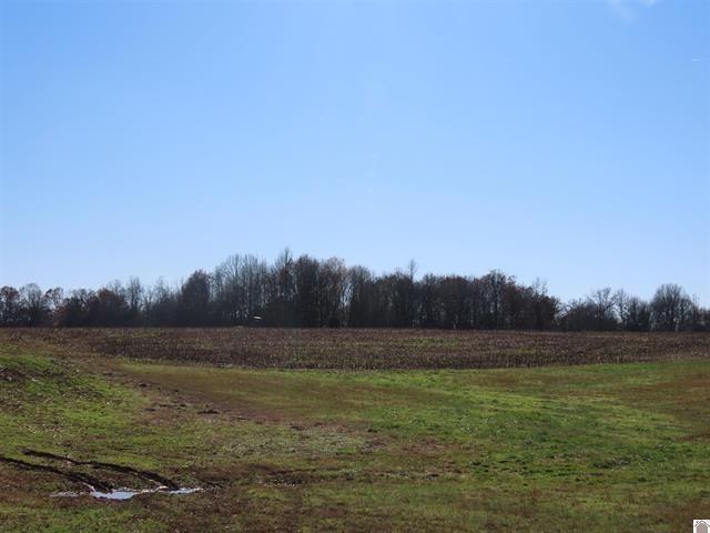 ST RT 45 S Boyd , Wingo, KY 42088