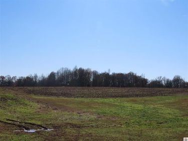 ST RT 45 S Boyd , Wingo, KY 42088