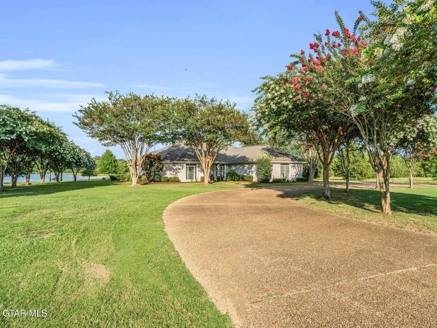 Property Image 39