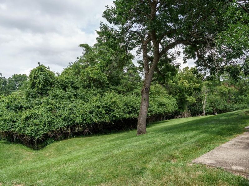7980 Tall Timbers Drive, Miami Twp, OH 45052 Photo 30