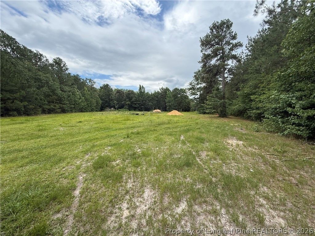 8476 Beaver Dam Road, Autryville, NC 28318 Main Photo