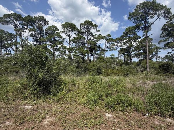 504 Tide Water Drive, Port St. Joe, FL 32456