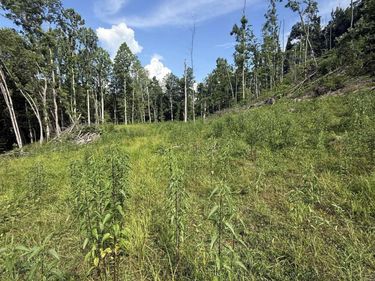 TBD Knights Fork Road, West Union, WV 26456