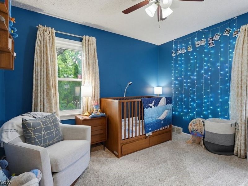 2350 Congo Street, Akron, OH 44305 Photo 7