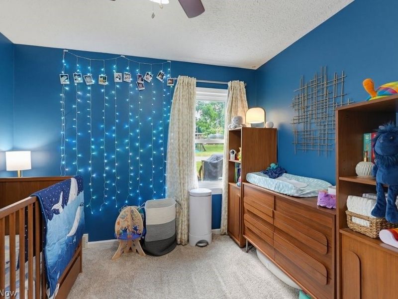 2350 Congo Street, Akron, OH 44305 Photo 8