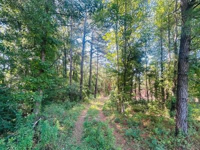 18.3 Acres - Turkey Ln, Kingstree, SC 29556