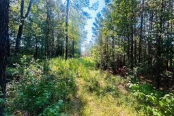 18.3 Acres - Turkey Ln photo 4