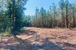 18.3 Acres - Turkey Ln photo 4
