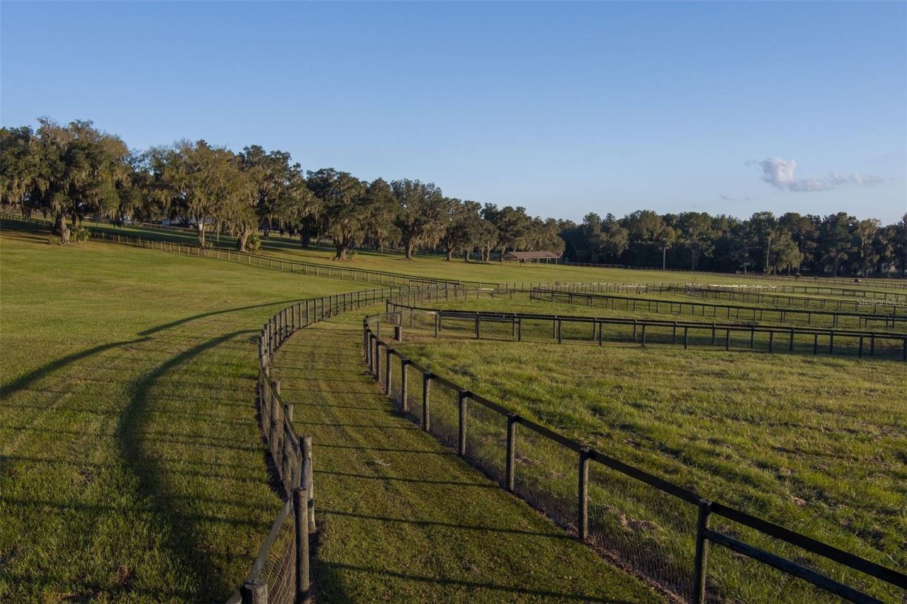 9504 NW Hwy 320, Micanopy, FL 32667 Photo