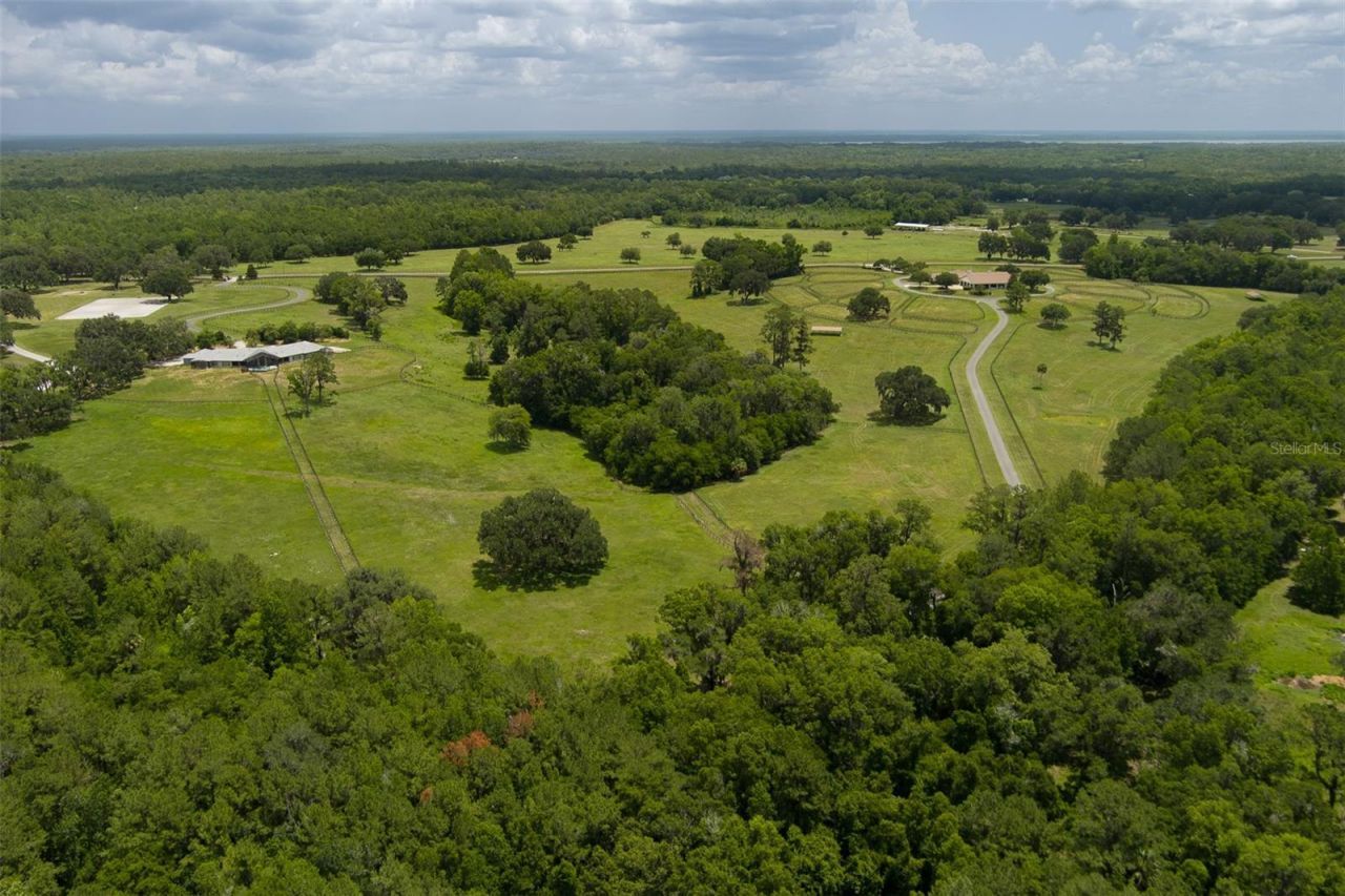9504 NW Hwy 320, Micanopy, FL 32667 Photo