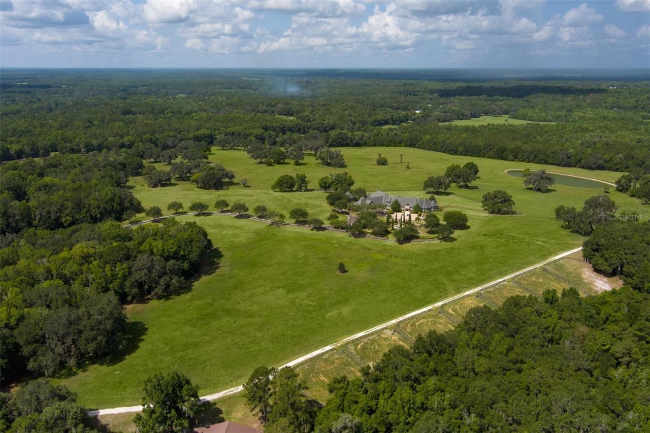 9095 NW 200th Street Road, Micanopy, FL 32667 Photo