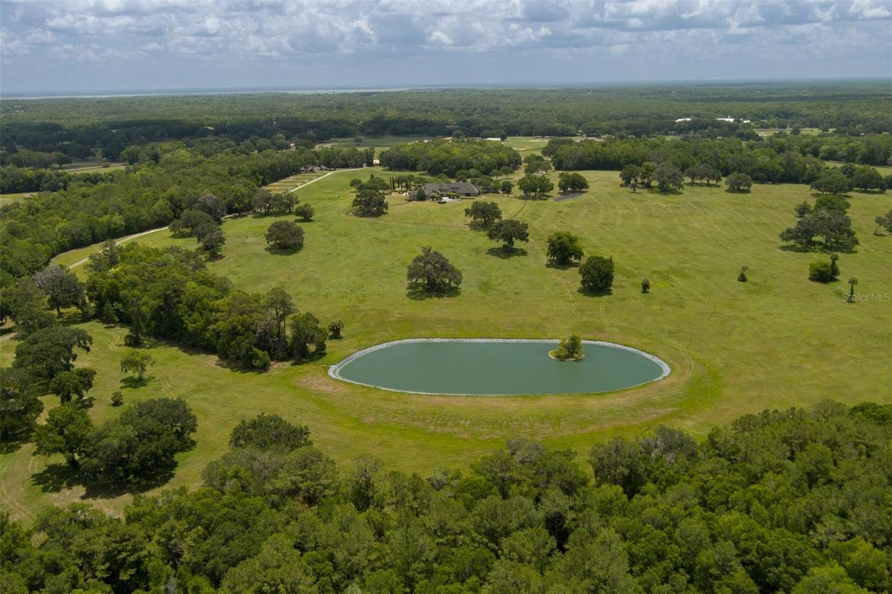 9095 NW 200th Street Road, Micanopy, FL 32667 Photo