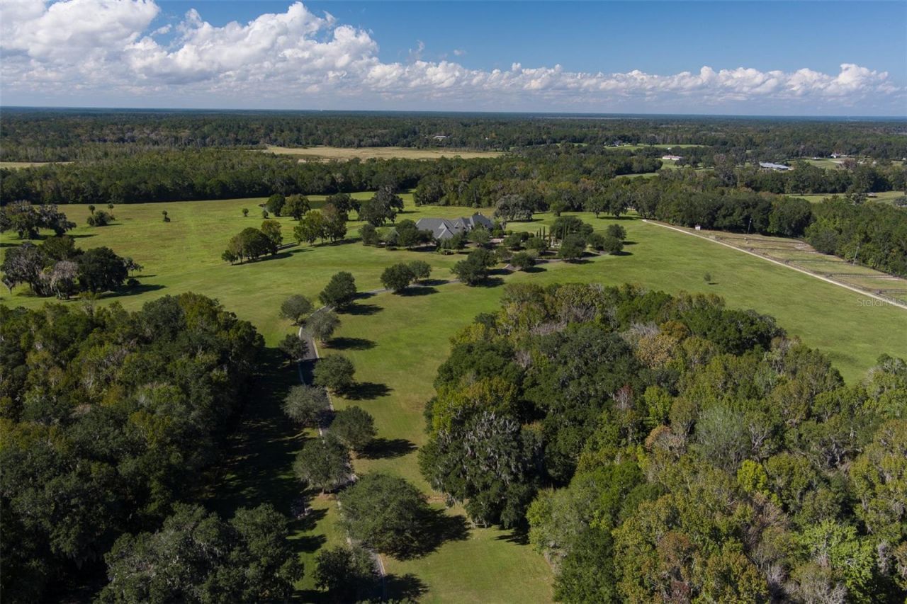 9095 NW 200th Street Road, Micanopy, FL 32667 Photo
