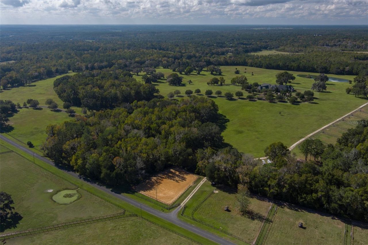 9095 NW 200th Street Road, Micanopy, FL 32667 Photo