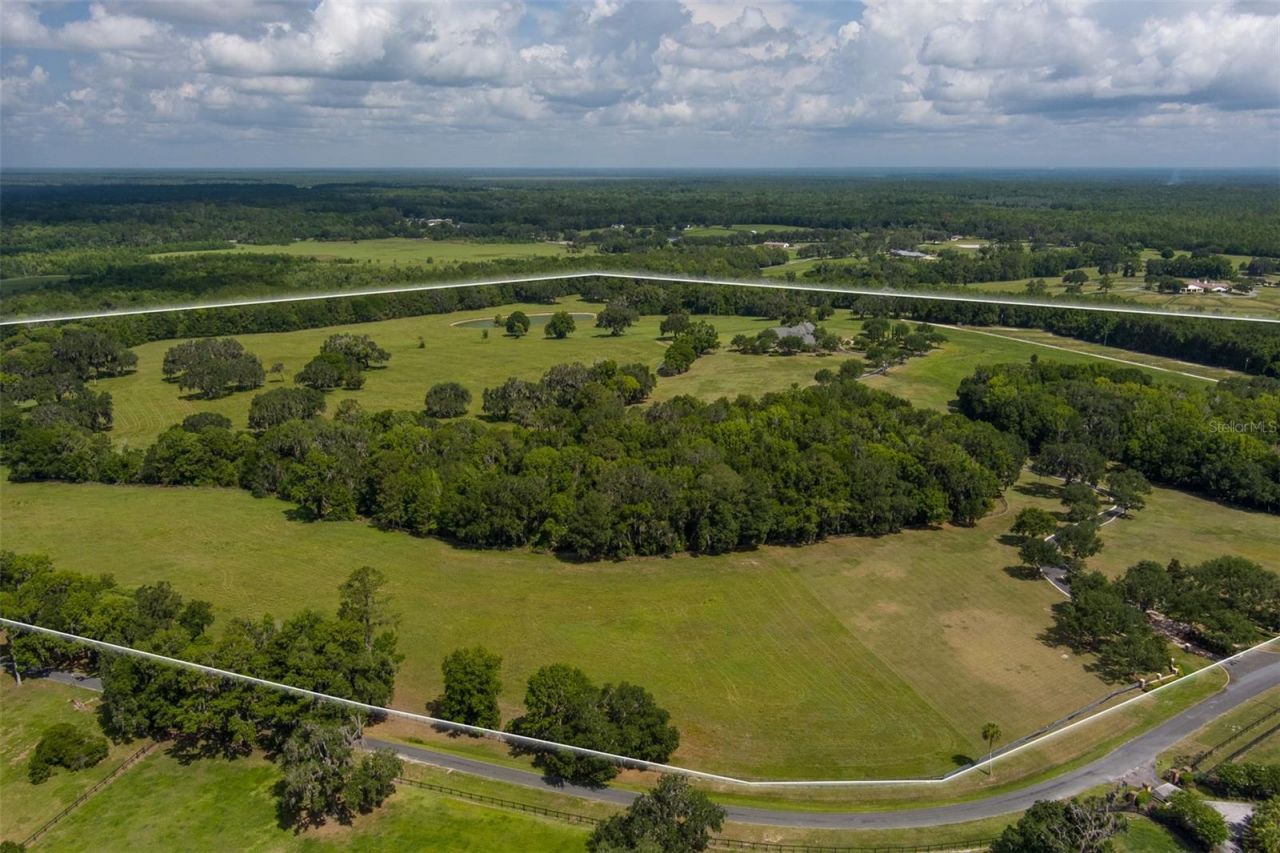 9095 NW 200th Street Road, Micanopy, FL 32667 Photo