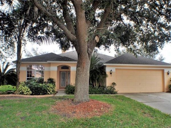 3806 TRIPLE JUMP STREET , VALRICO, FL 33596