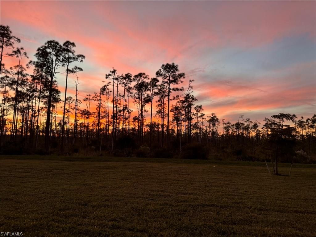 20324 Camino Torcido Loop, North Fort Myers, FL 33917 Photo