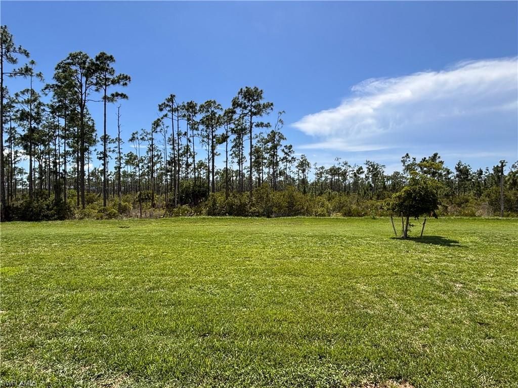 20324 Camino Torcido Loop, North Fort Myers, FL 33917 Photo