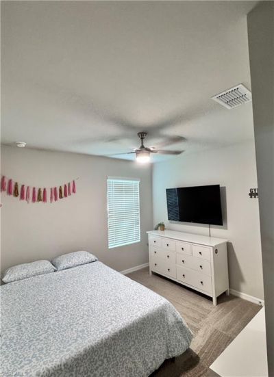 20324 Camino Torcido Loop, North Fort Myers, FL 33917 Photo