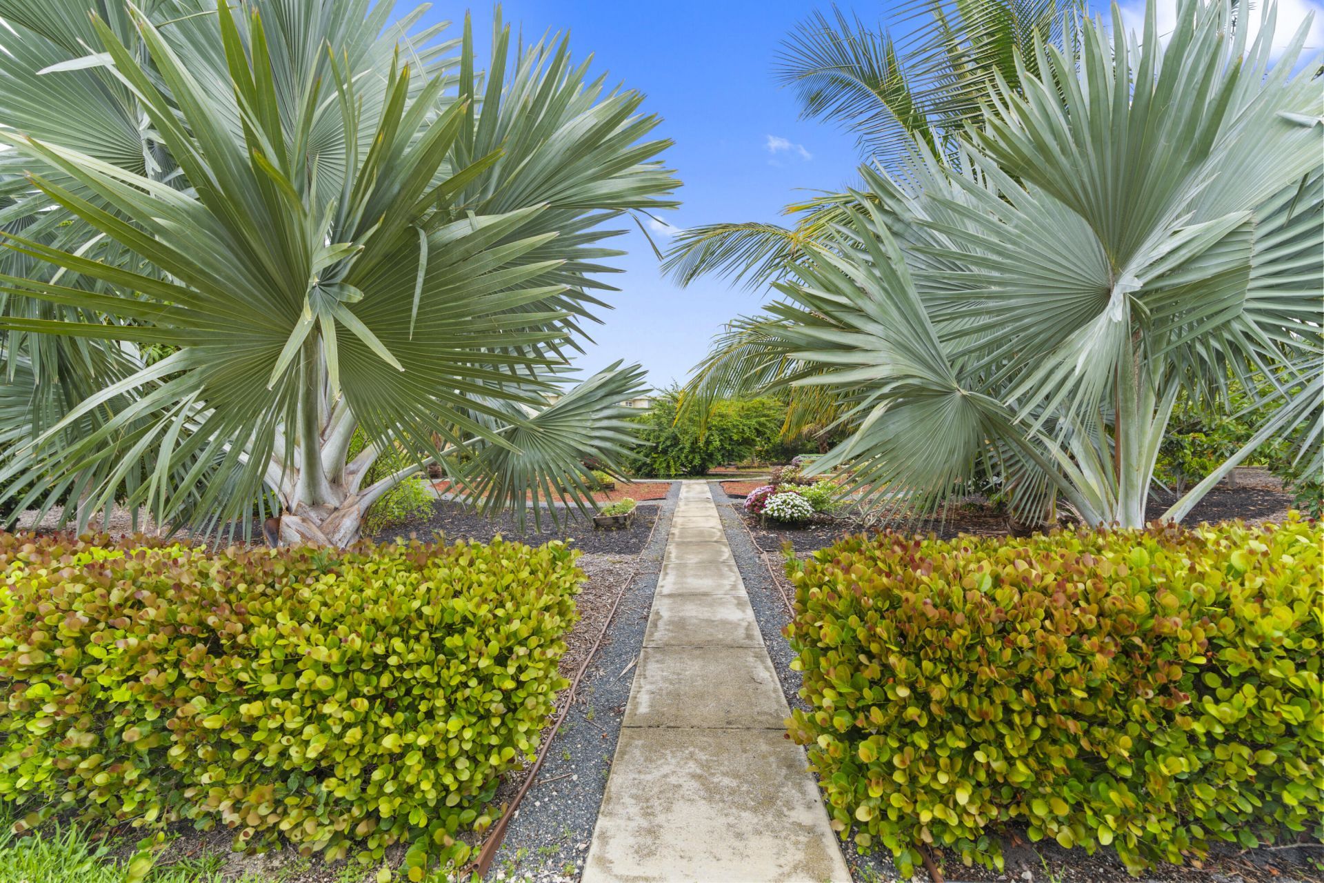 2615 NE 1st Court, Unit 403, Boynton Beach, FL 33435 Photo
