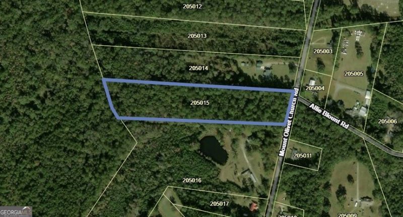 7.61 Mount Olivet Church Road, Fleming, GA 31309 Main Photo