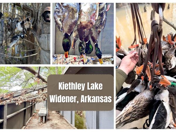 00 SFC 431 Road, Widener, AR 72394