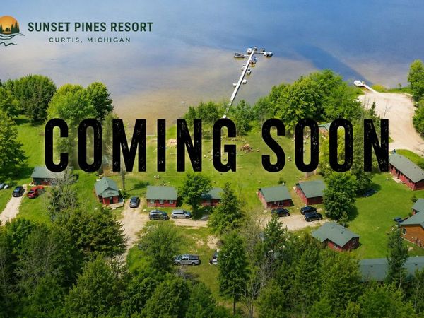 Gould City, MI 49838