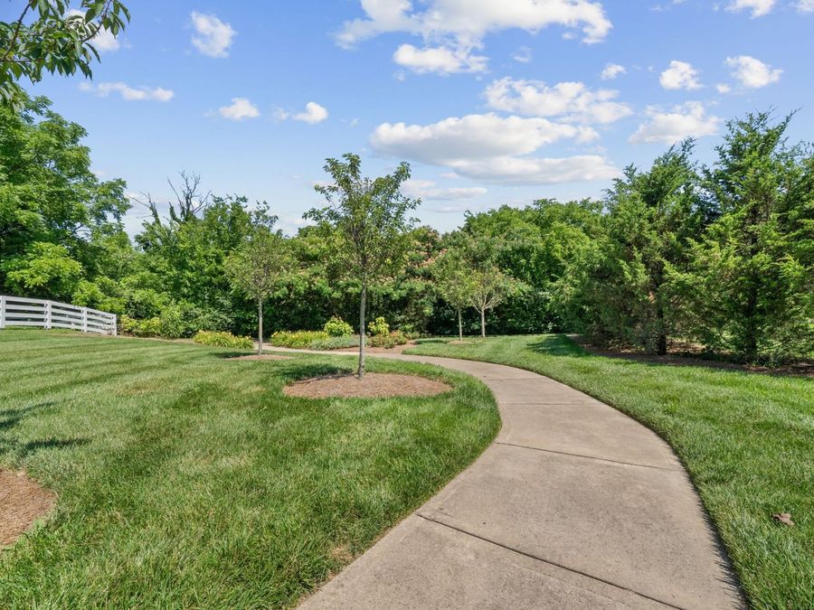 Property Image 71
