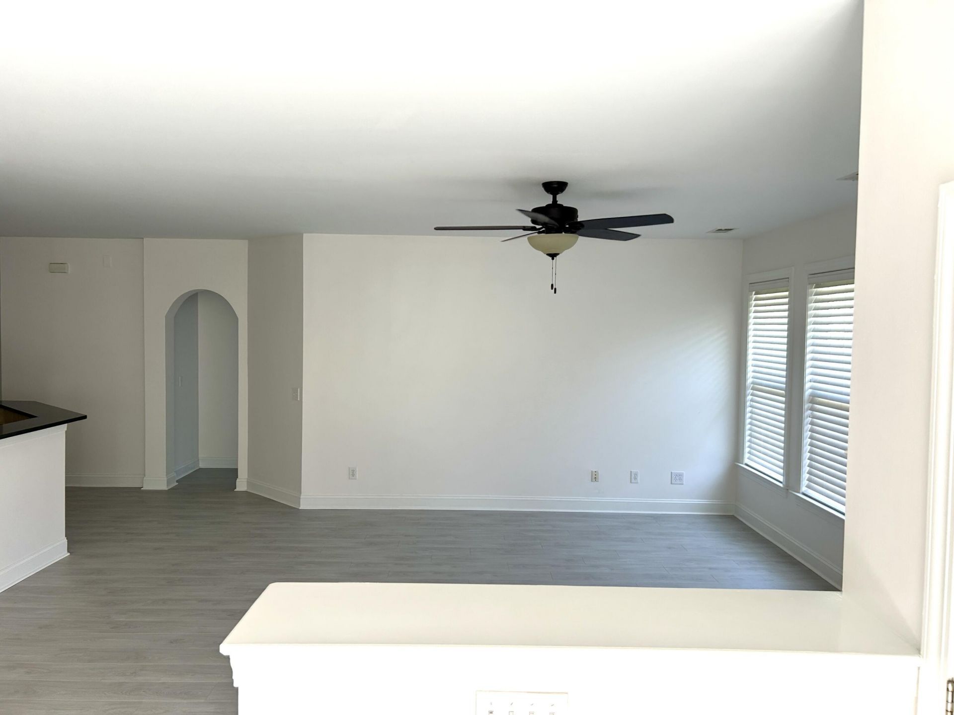 101 Duck Pond Court Photo 12
