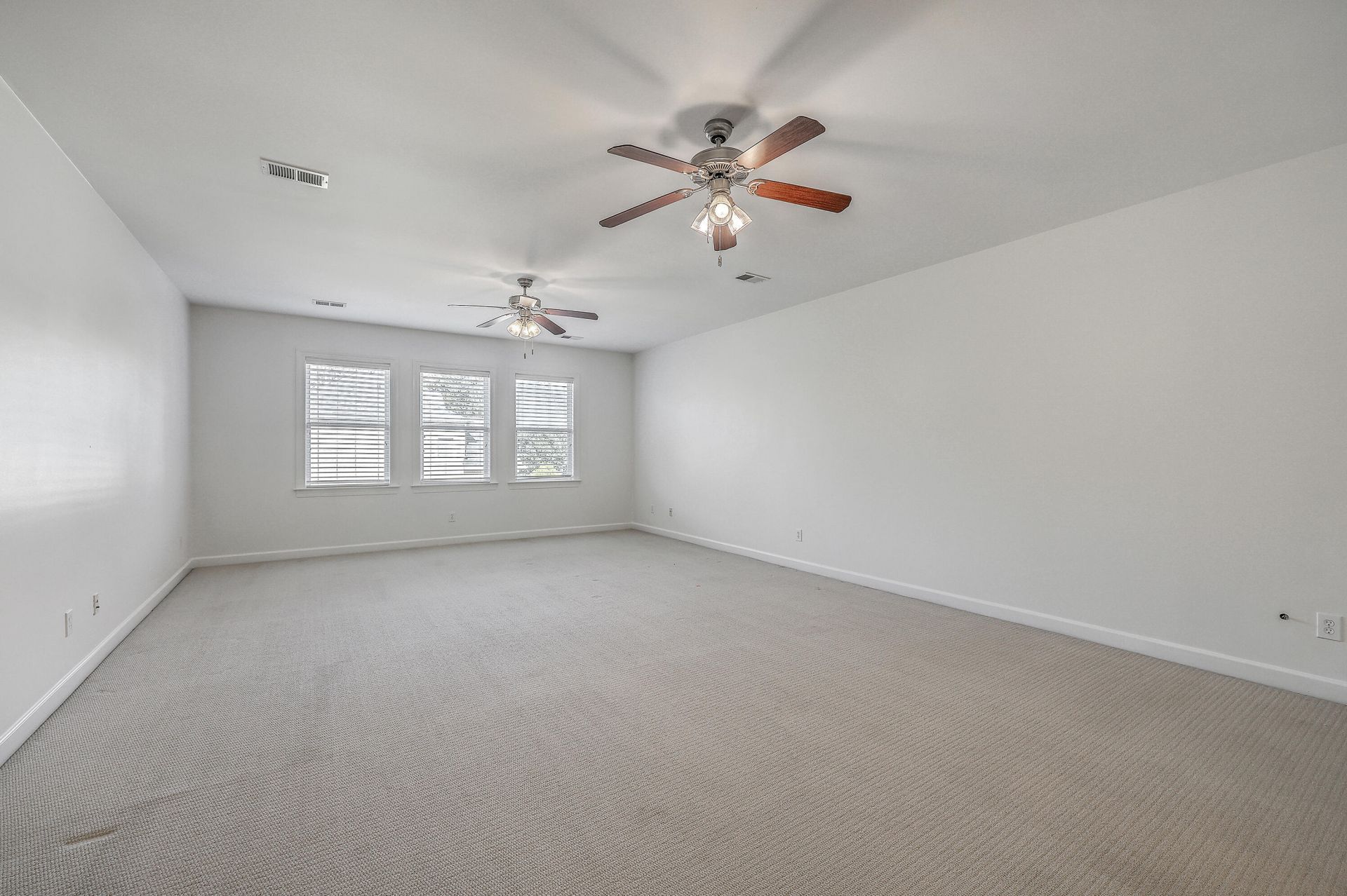 101 Duck Pond Court Photo 23