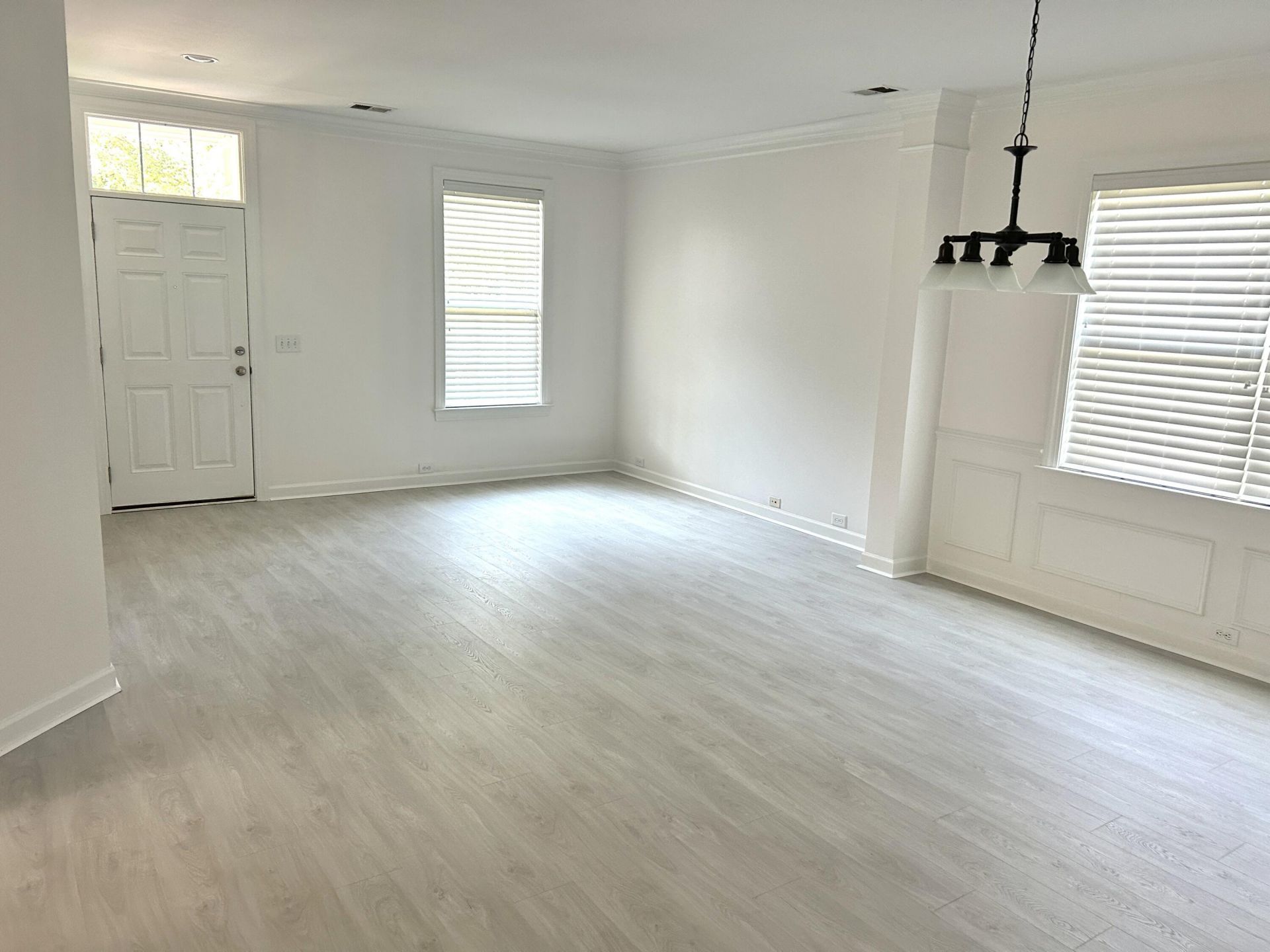 101 Duck Pond Court Photo 4