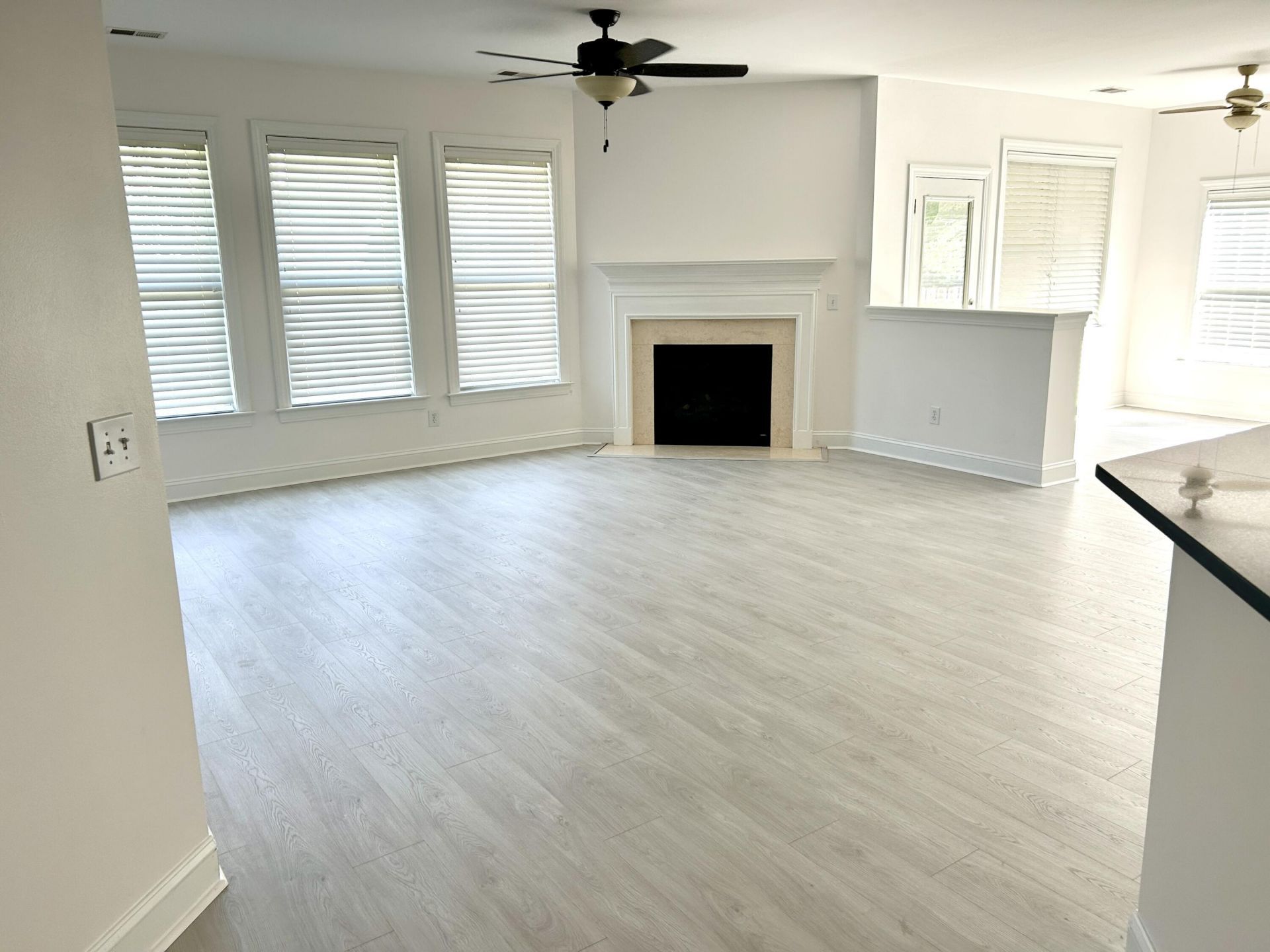 101 Duck Pond Court Photo 5