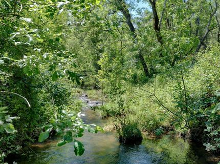 16840 Tudor Ln, Meadow Vista, CA 95722 Photo