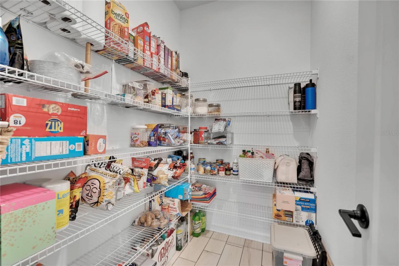 16942 Savory Mist Circle , Bradenton, FL 34211 Photo