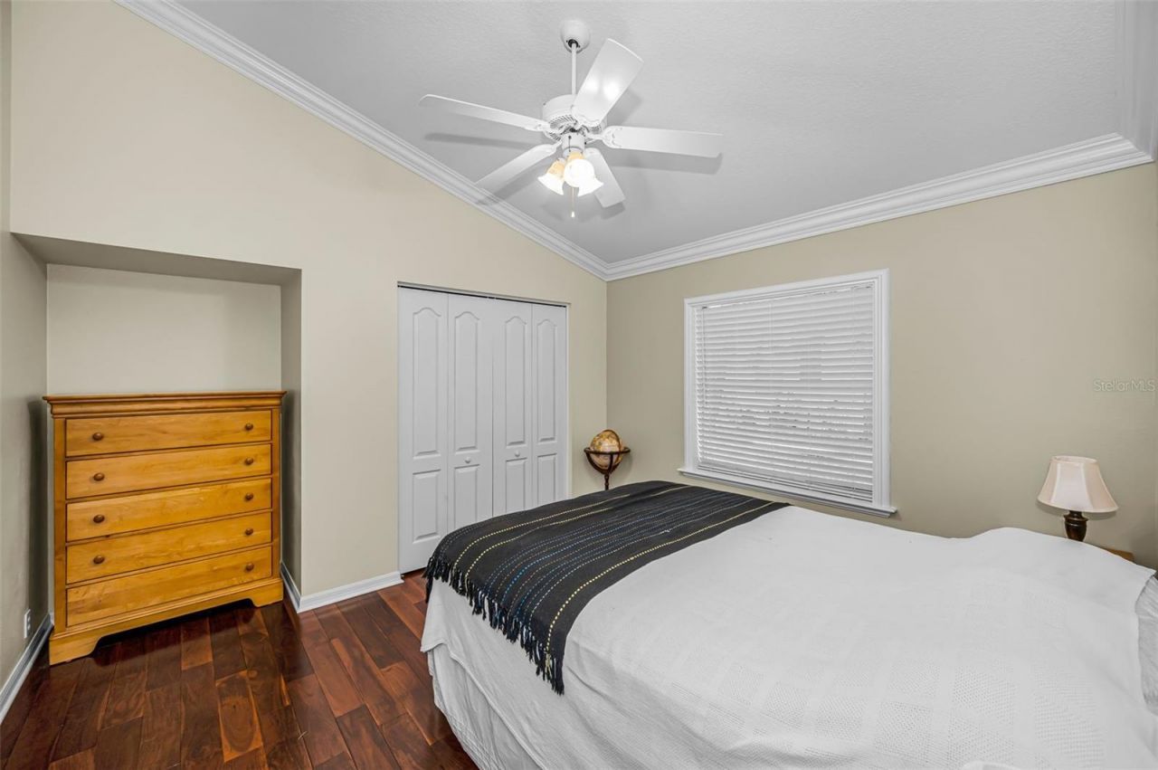 4084 Ligustrum Drive , Palm Harbor, FL 34685 Photo