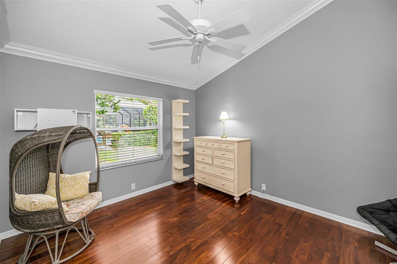 4084 Ligustrum Drive , Palm Harbor, FL 34685 Photo
