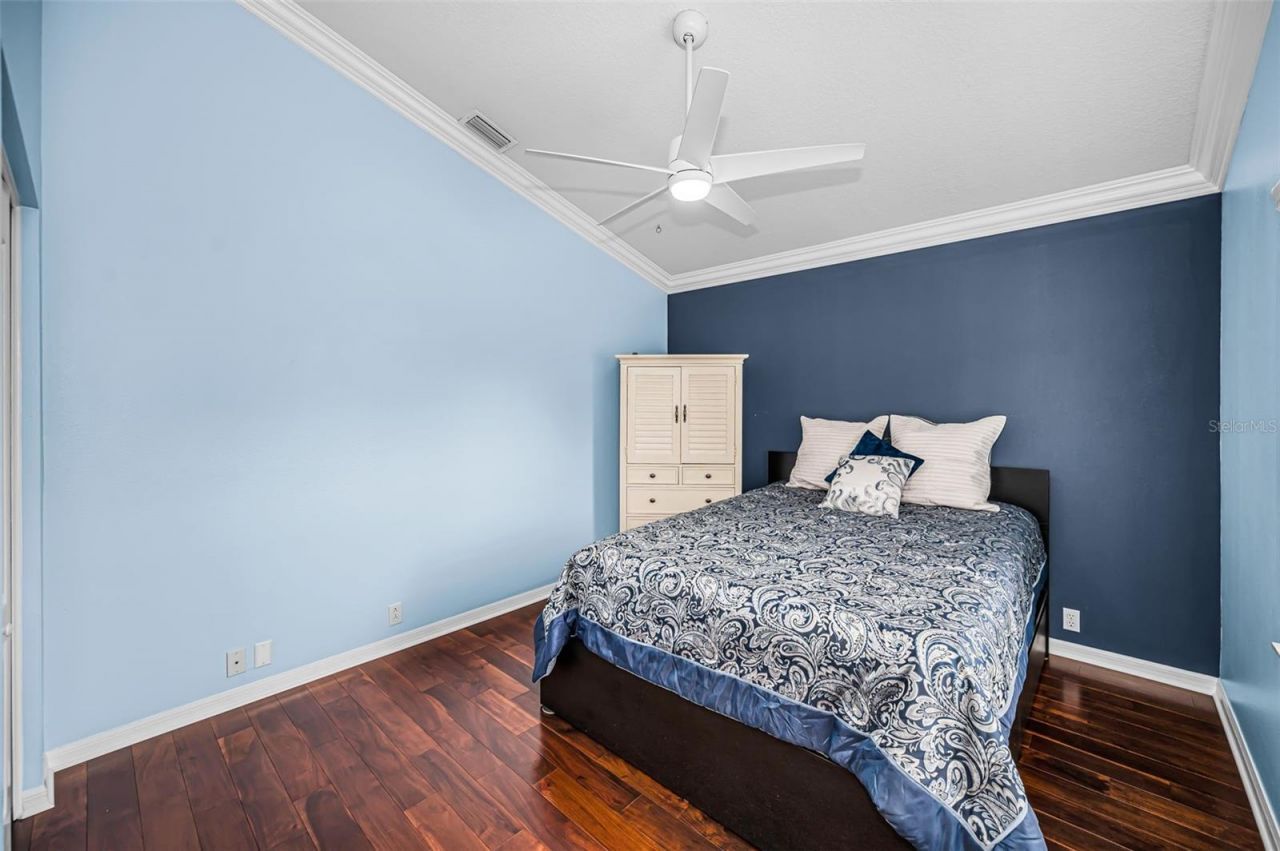 4084 Ligustrum Drive , Palm Harbor, FL 34685 Photo