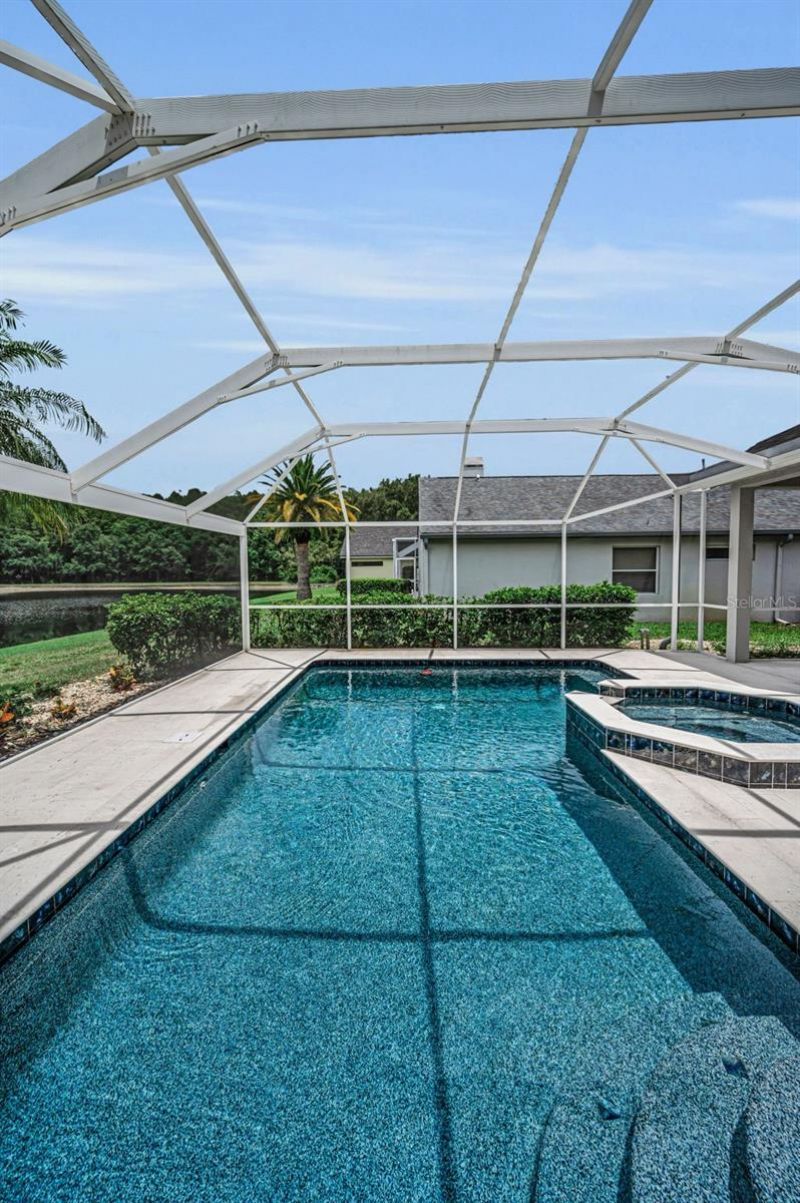 4084 Ligustrum Drive , Palm Harbor, FL 34685 Photo