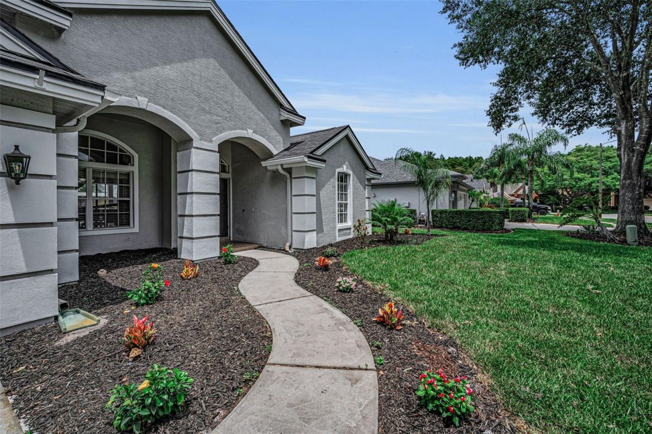 4084 Ligustrum Drive , Palm Harbor, FL 34685 Photo