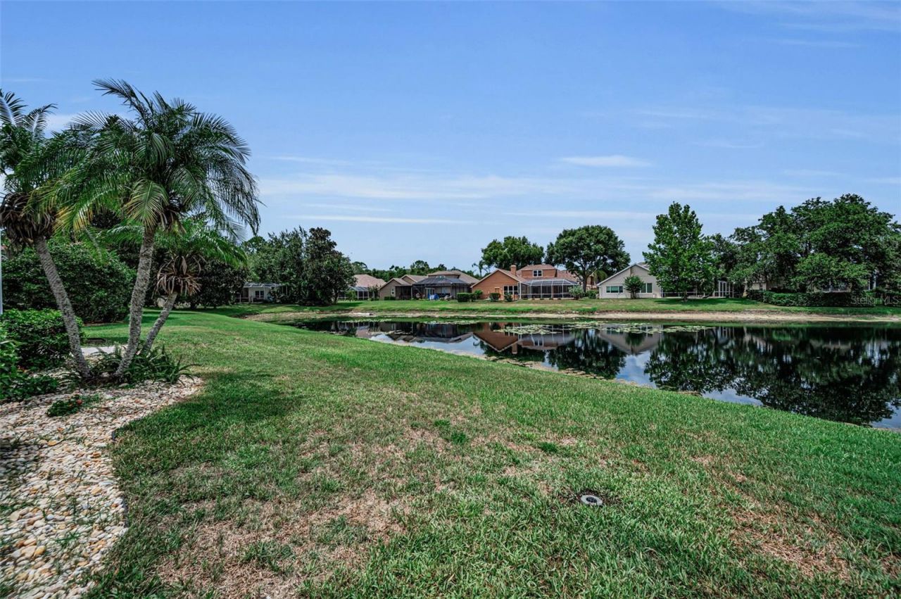 4084 Ligustrum Drive , Palm Harbor, FL 34685 Photo