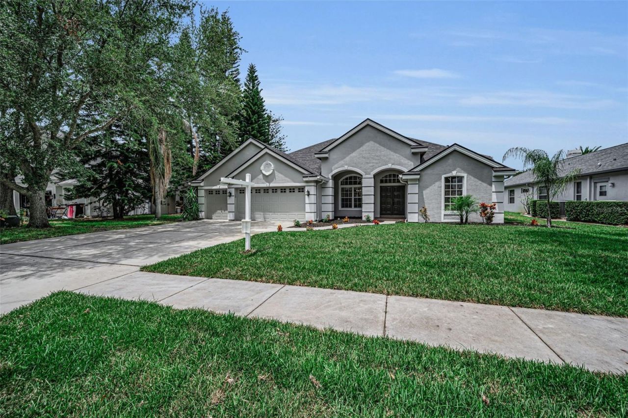 4084 Ligustrum Drive , Palm Harbor, FL 34685 Photo