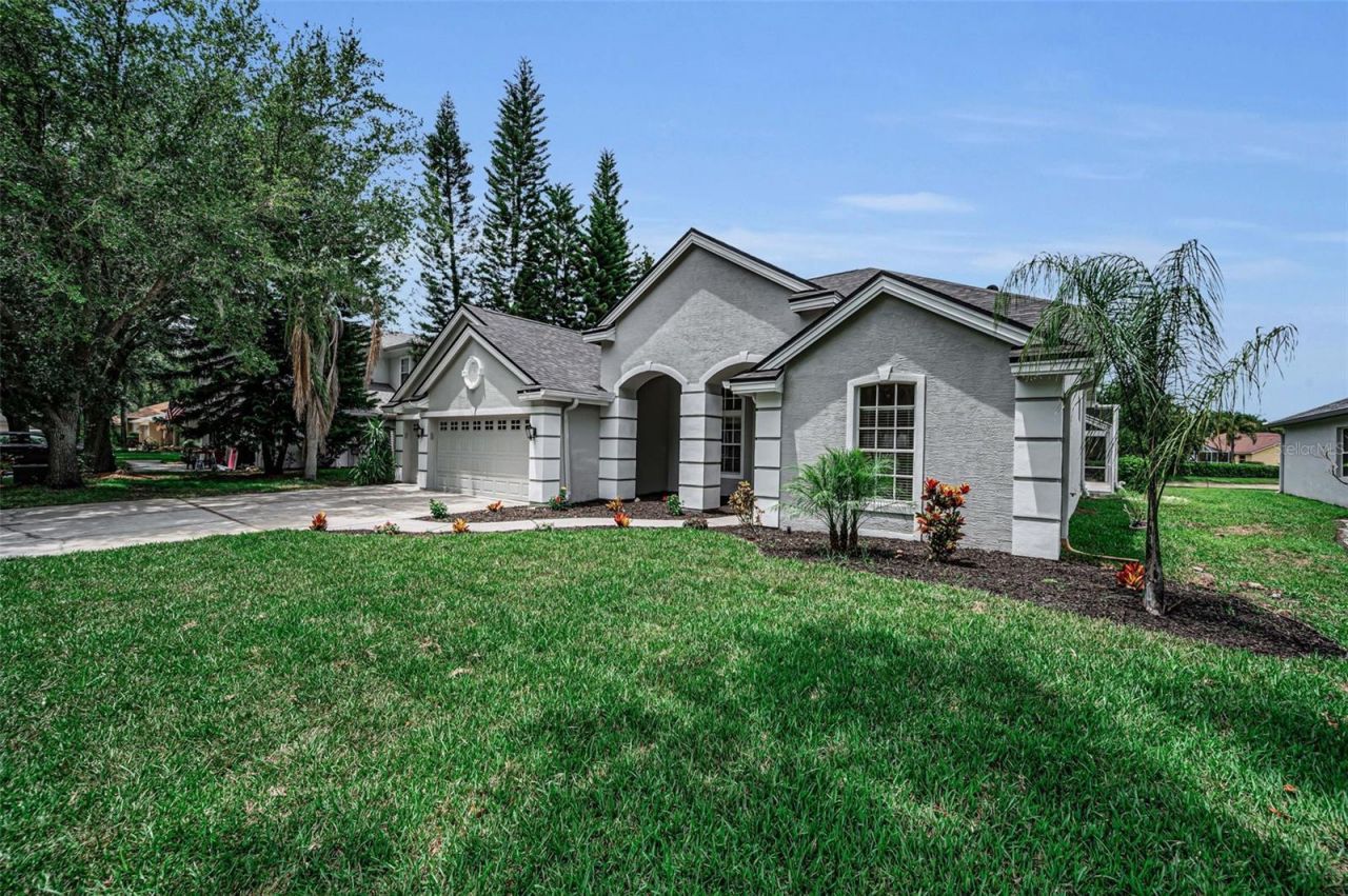 4084 Ligustrum Drive , Palm Harbor, FL 34685 Photo