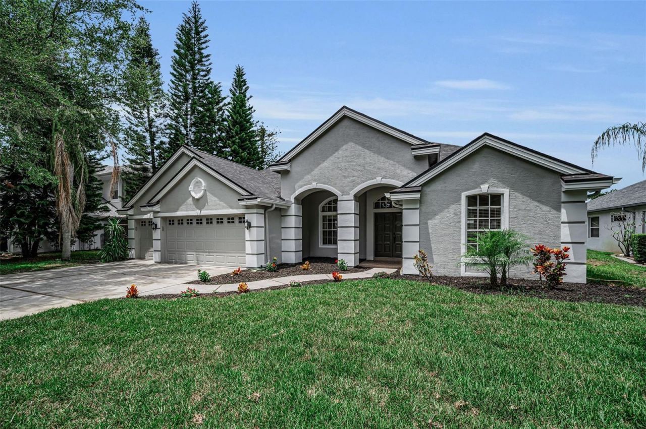 4084 Ligustrum Drive , Palm Harbor, FL 34685 Photo